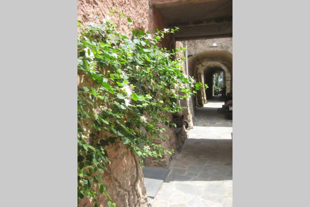La Casa Di Sandra A Noli Villa ภายนอก รูปภาพ