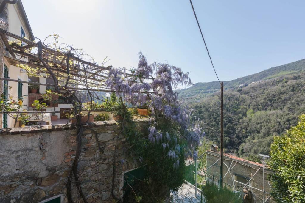 La Casa Di Sandra A Noli Villa ภายนอก รูปภาพ