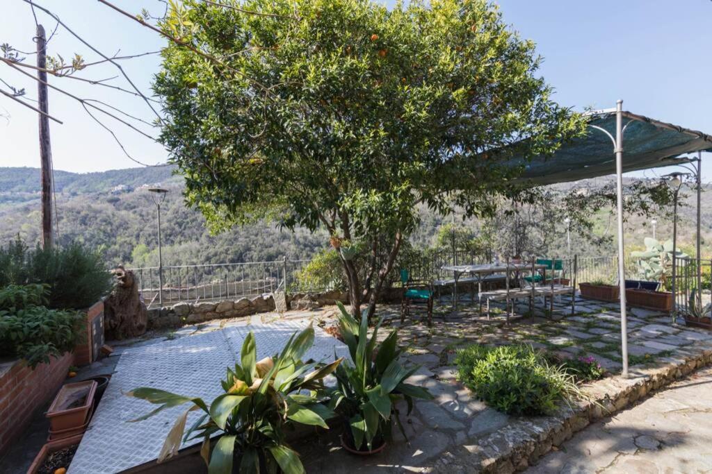 La Casa Di Sandra A Noli Villa ภายนอก รูปภาพ