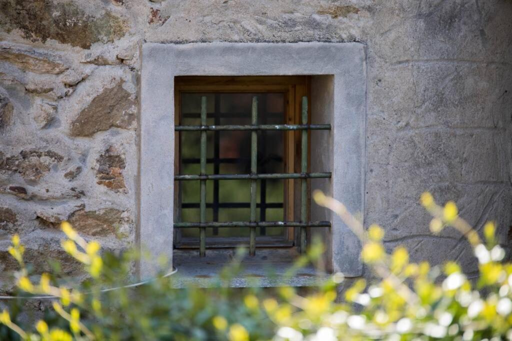 La Casa Di Sandra A Noli Villa ภายนอก รูปภาพ